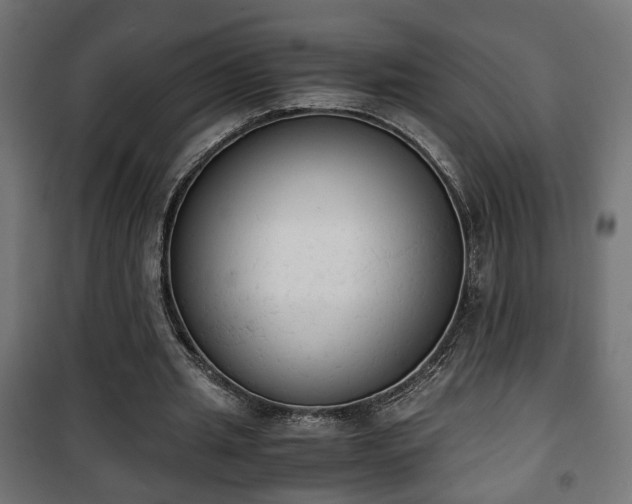 X0000101390437200807141136