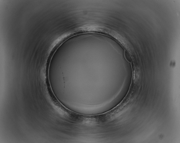 X0000101390438200807141136