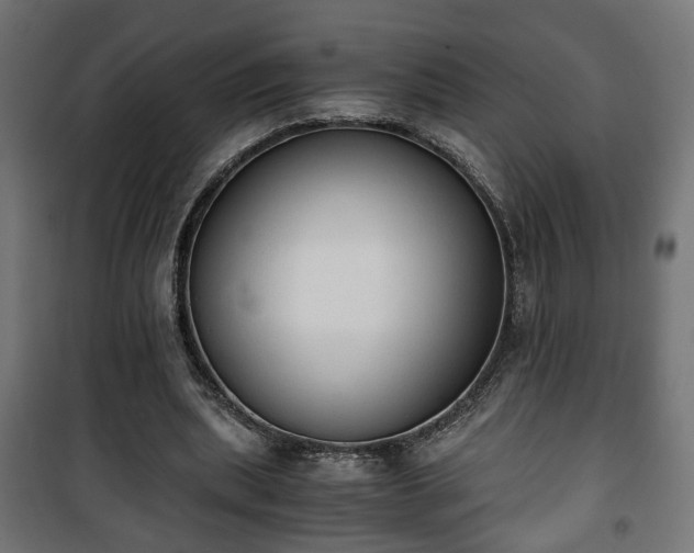 X0000101390439200807141136