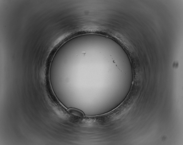 X0000101390440200807141136