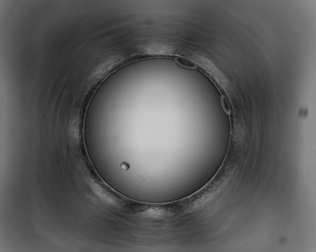 X0000101390441200807141136