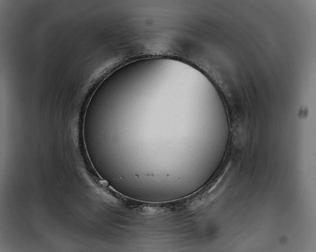 X0000101390442200807141136