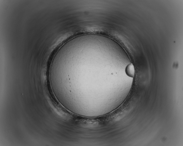 X0000101390443200807141136