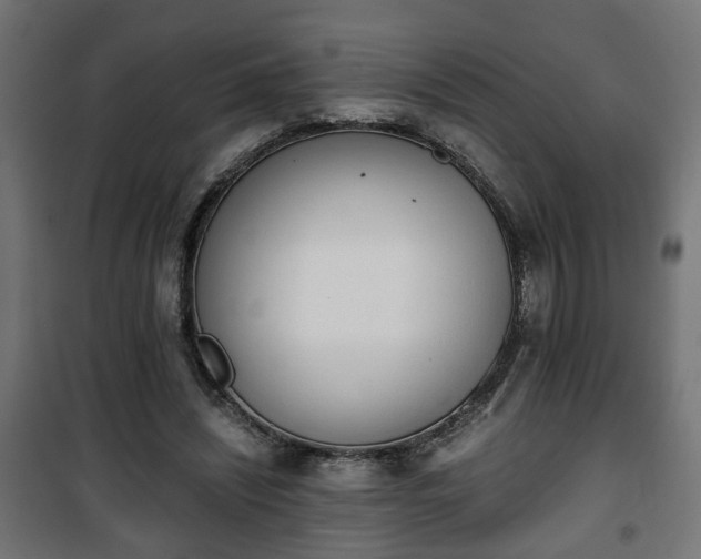 X0000101390444200807141136