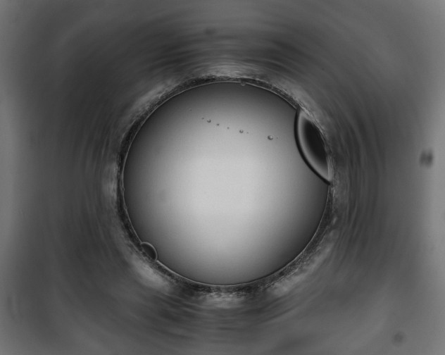 X0000101390445200807141136