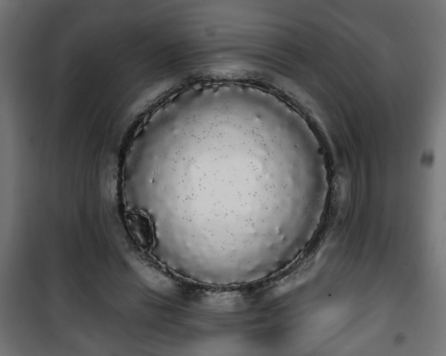 X0000101390446200807141136