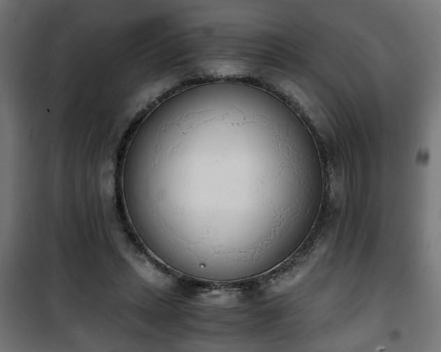 X0000101390447200807141136