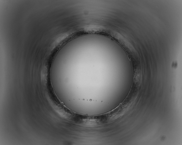 X0000101390448200807141136