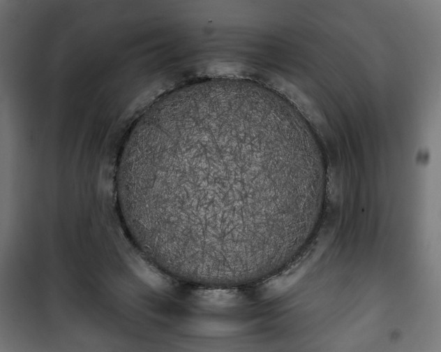 X0000101390449200807141137