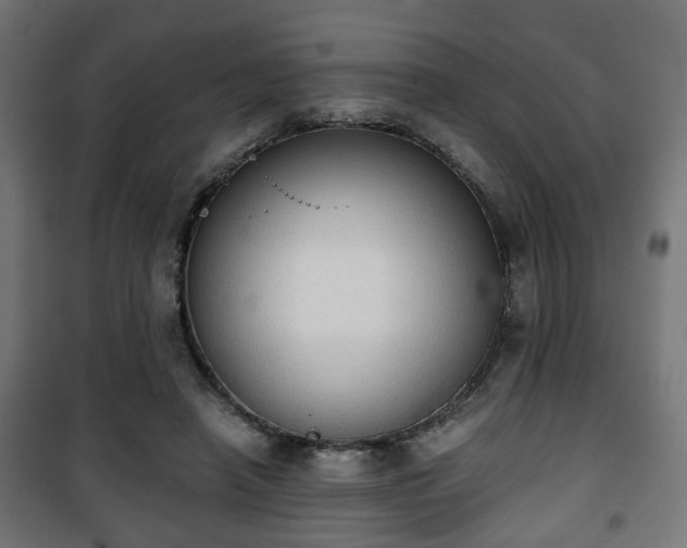 X0000101390450200807141137