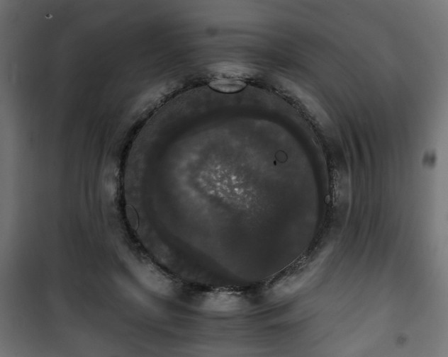 X0000101390451200807141137