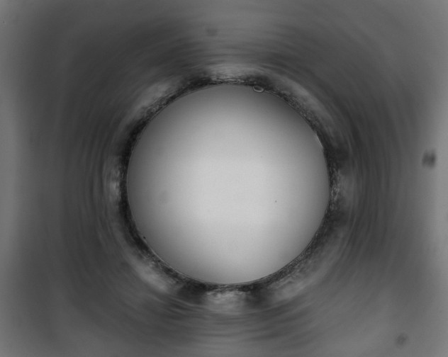 X0000101390452200807141137