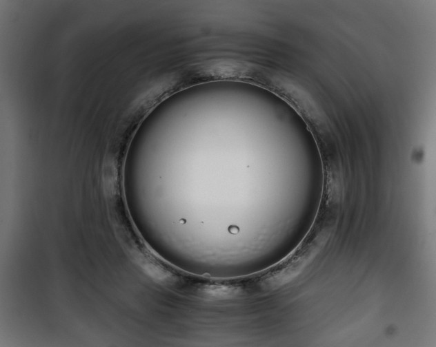 X0000101390453200807141137