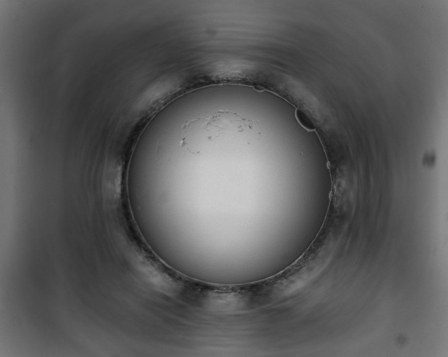 X0000101390454200807141137