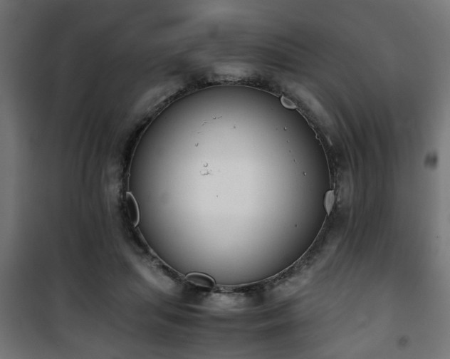 X0000101390455200807141137