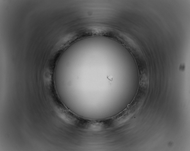 X0000101390456200807141137