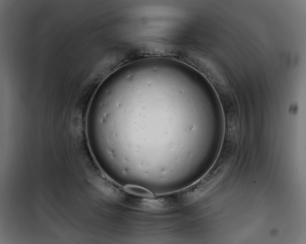 X0000101390457200807141137