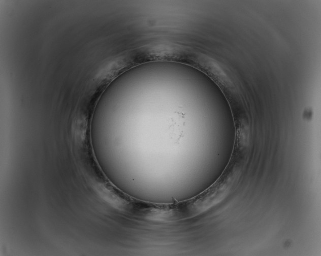 X0000101390458200807141137