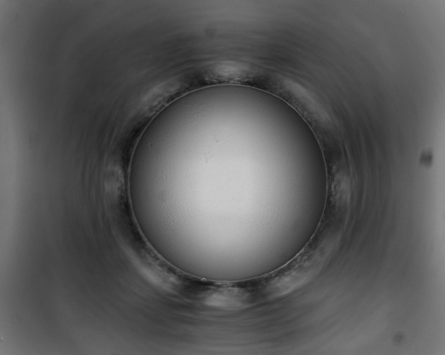 X0000101390459200807141137