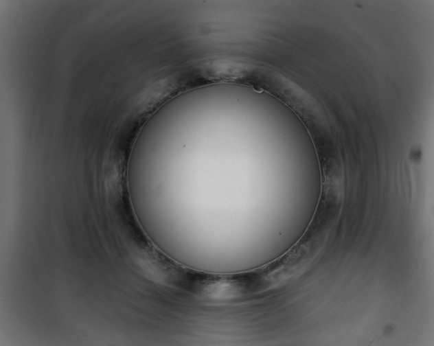 X0000101390460200807141137