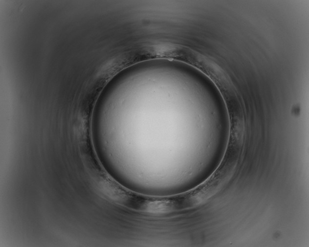 X0000101390461200807141137