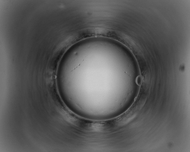 X0000101390462200807141137