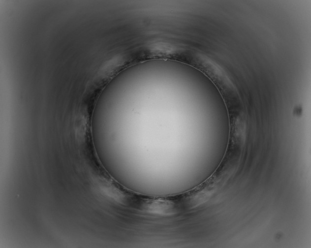 X0000101390463200807141137