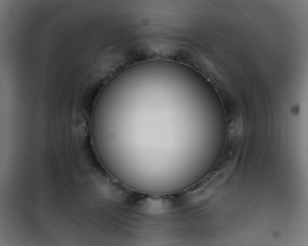 X0000101390464200807141137