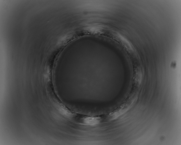 X0000101390465200807141137