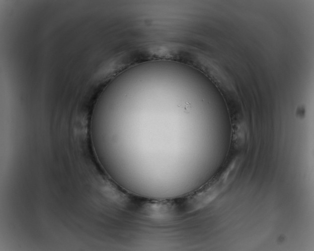 X0000101390466200807141137