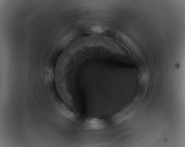 X0000101390467200807141137