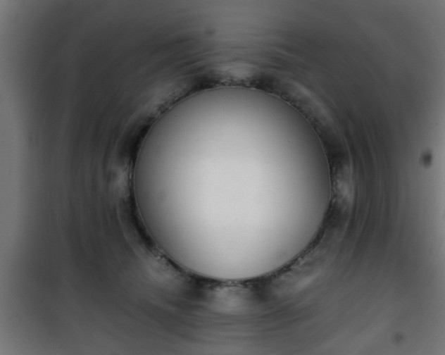 X0000101390468200807141137