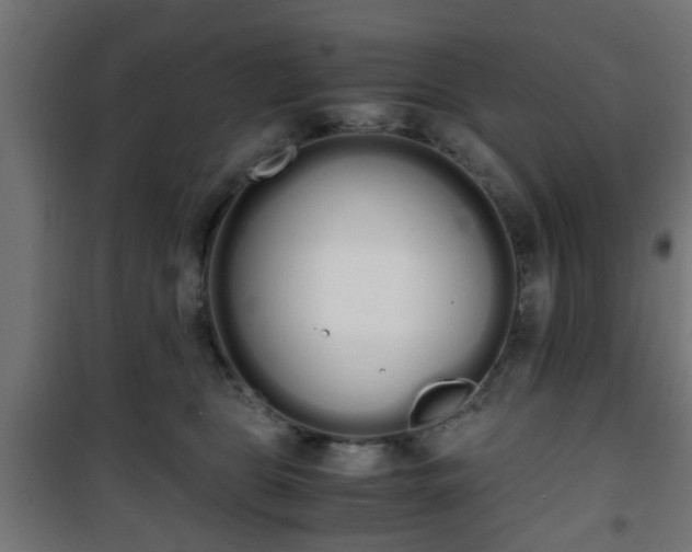 X0000101390469200807141137