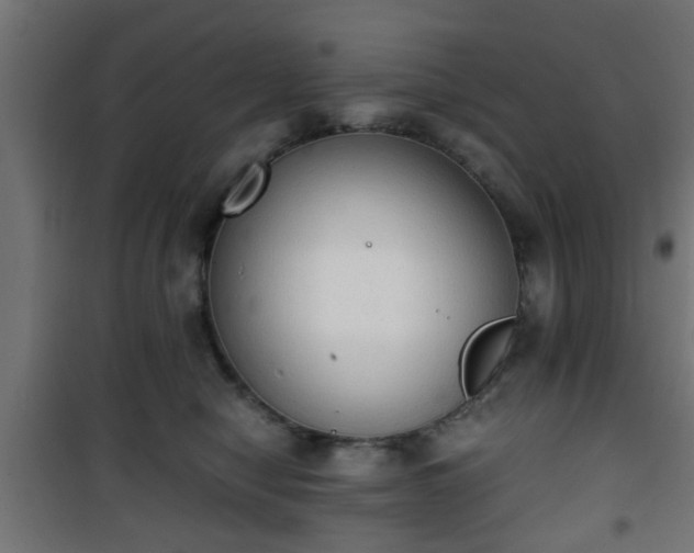 X0000101390470200807141137