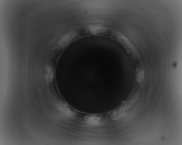 X0000101390471200807141137