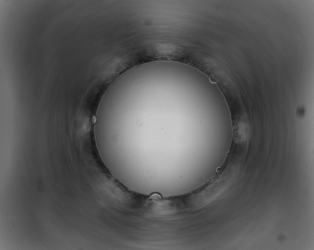 X0000101390472200807141137