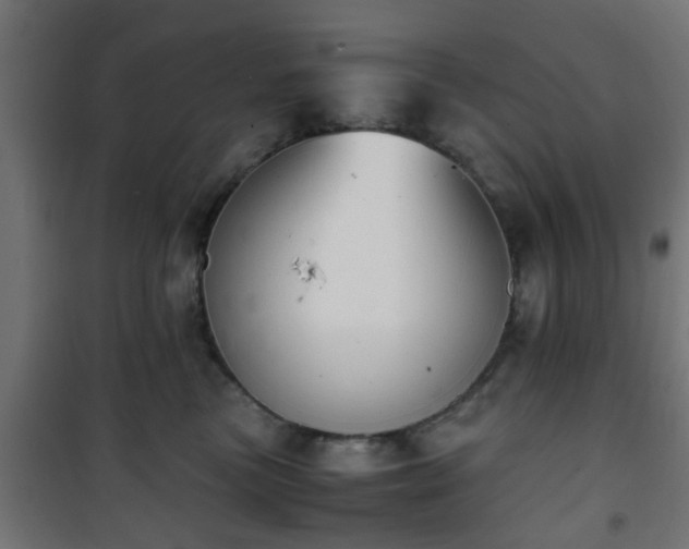 X0000101390473200807141137