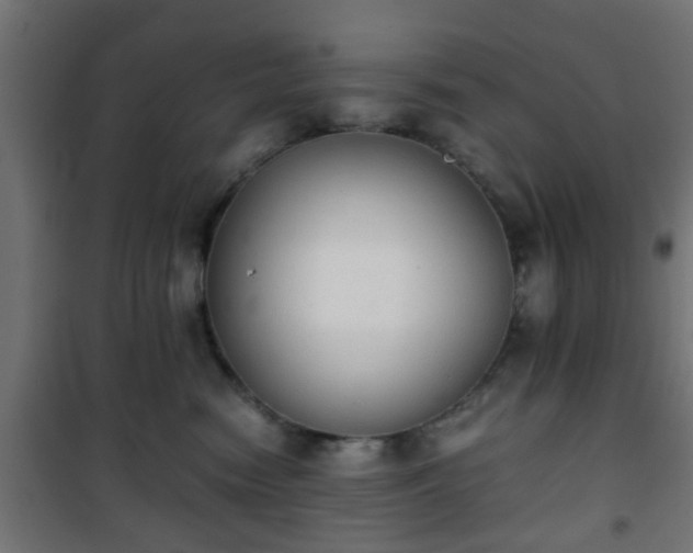 X0000101390474200807141137