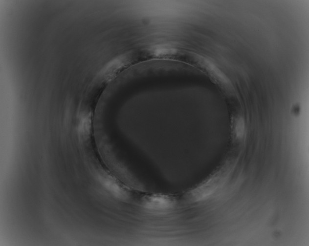 X0000101390475200807141137