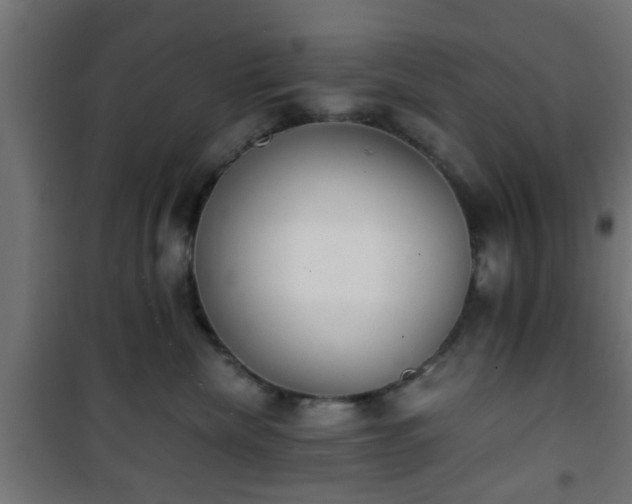 X0000101390476200807141137