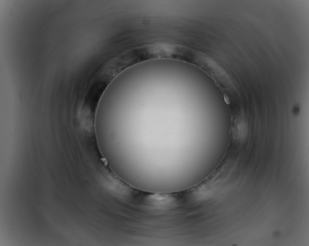 X0000101390477200807141137