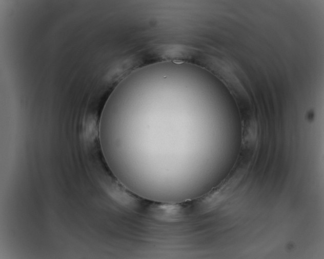 X0000101390478200807141137