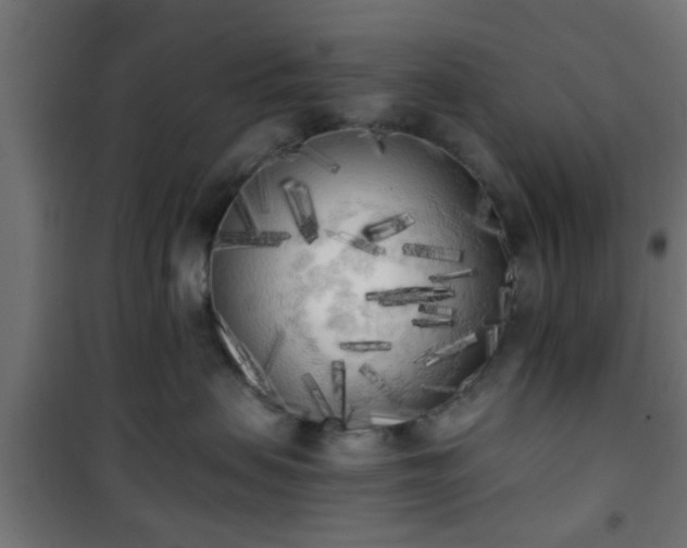 X0000101390479200807141137