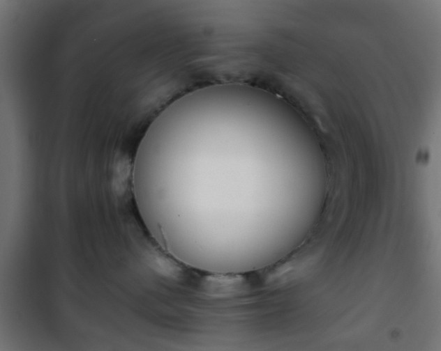 X0000101390480200807141137