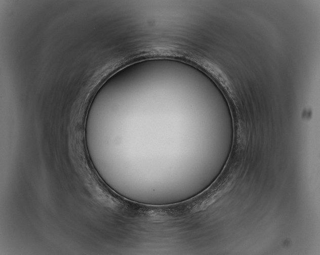 X0000101390481200807141136