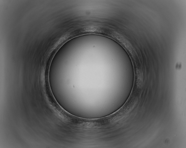 X0000101390482200807141136