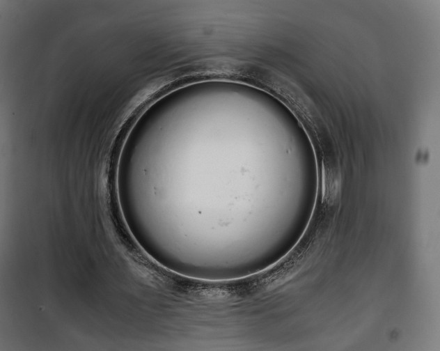 X0000101390483200807141136