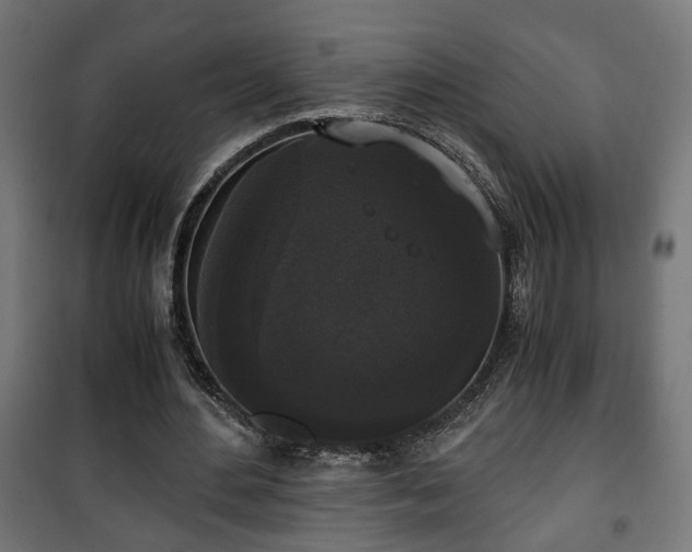 X0000101390484200807141136