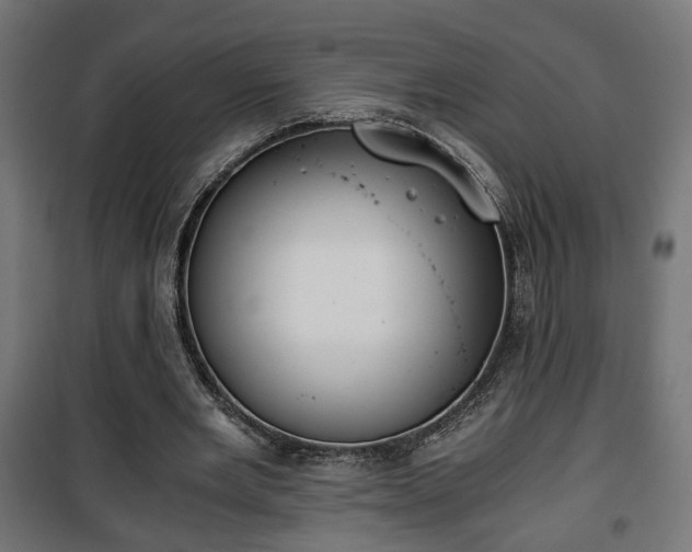 X0000101390485200807141136