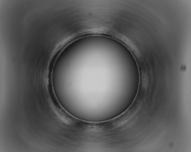 X0000101390486200807141136